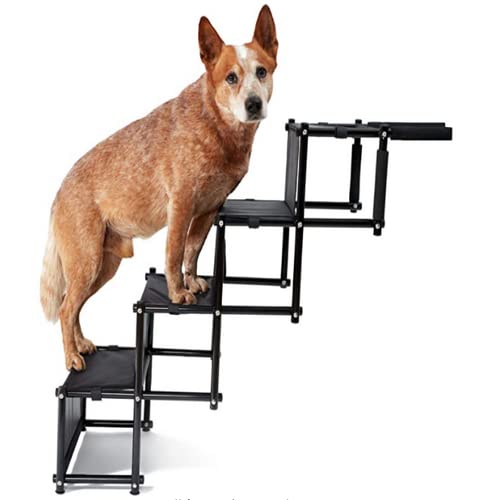 Belfoyer Auto Rampe faltbar für Hunde, Treppe mit 4 Stufen für Haustiere, verwendbar für alle Fahrzeuge, belastbar bis 75 kg, wasserdicht, Polyester, Oxford Metall (schwarz) von Belfoyer