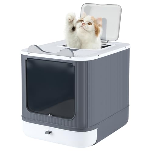 Belfoyer Klassisches Katzenklo 44,5×36,5×34,5 cm – PP Katzentoilette offen & geräumig, hygienisch & pflegeleicht, Weiß Belfoyer Klassisches Katzenklo 44,5×36,5×34,5 cm – PP Katzentoilette offen & geräumig, hygienisch & pflegeleicht, Weiß von Belfoyer