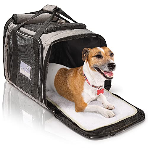 Bella & Balu M Hundebox Hundetransportbox für Hunde und Katzen - grau | 43 x 31 x 34cm Hundebox zum Tragen für Urlaubsreisen und Ausflüge im Flugzeug oder Auto – atmungsaktiv, lichtdurchlässig Bella & Balu M Hundebox Hundetransportbox für Hunde und Katzen - grau | 43 x 31 x 34cm Hundebox zum Tragen für Urlaubsreisen und Ausflüge im Flugzeug oder Auto – atmungsaktiv, lichtdurchlässig von Bella & Balu