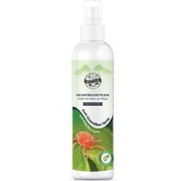 Bellfor Anti-Grasmilben-Spray - 250 ml von Bellfor