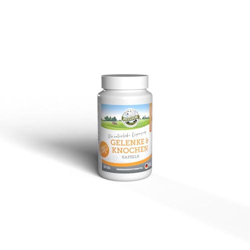 Bellfor Gelenke & Knochen Tabletten, 80 Kapseln mit Ovopet, zur Förderung von Gelenkgesundheit und Beweglichkeit, Gelenktabletten für Hunde zur Vorbeugung, für jedes Alter und Jede Rasse von Bellfor