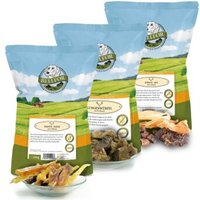 Bellfor Gesunde Hundeleckerlis vom Hirsch im Sparset Bellfor Gesunde Hundeleckerlis vom Hirsch im Sparset von Bellfor