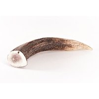 Bellfor Hundesnack - Hirsch-Geweihe XXL - 160g von Bellfor