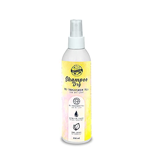 Hundeshampoo Dry von Bellfor - 250 ml. Sanfte Pflege bei Trockenem Fell. Feuchtigkeitsspendende und nährende Pflege für trockenes Hundefell mit Olivenöl, Kokosöl und Glycerin, chemikalienfrei. von Bellfor