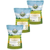 Bellfor Sparset Nr. 1 - Trockenfleischstreifen Mix Huhn 100g, Truthahn 100g & Ente 100g Bellfor Sparset Nr. 1 - Trockenfleischstreifen Mix Huhn 100g, Truthahn 100g & Ente 100g von Bellfor