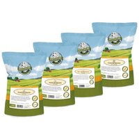 Bellfor Sparset Nr. 11 - Trockenfleischstreifen 4-er - 400 g von Bellfor