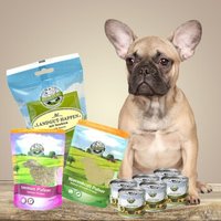 Bellfor Hypoallergenes Hundefutter Nass im Sparset für kleine Hunde 2,760 g von Bellfor