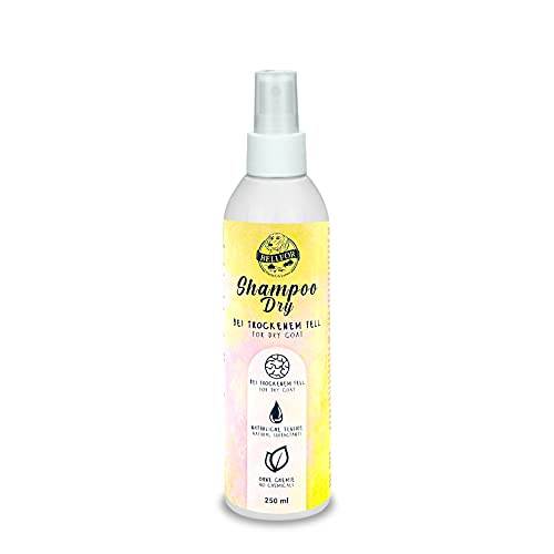 Hundeshampoo Dry von Bellfor - 250 ml. Sanfte Pflege bei Trockenem Fell. Feuchtigkeitsspendende und nährende Pflege für trockenes Hundefell mit Olivenöl, Kokosöl und Glycerin, chemikalienfrei. von Bellfor