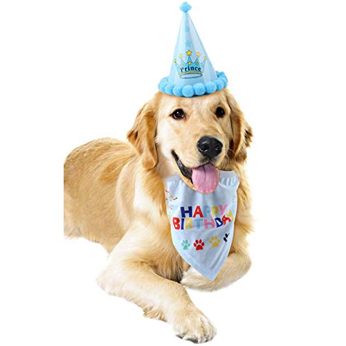 Bello Luna Happy Birthday Bandana-Schals und niedlichen Partyhut für Hunde Pet Geburtstag Geschenk Dekorationen Set - blau von Bello Luna