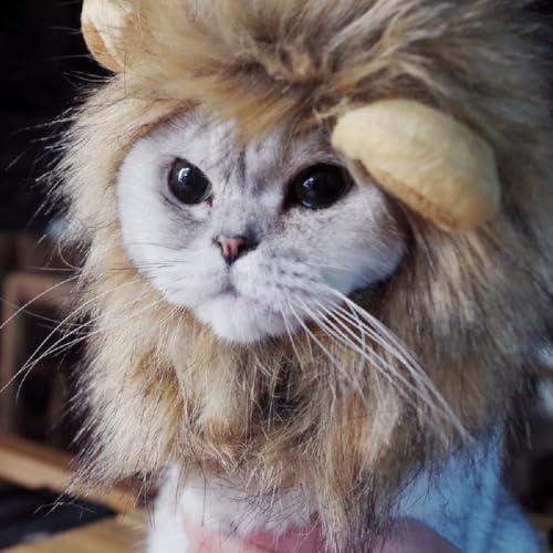 Bello Luna Löwe Haar Kopfbedeckung für kleinen Hund und Katzen, Löwe Mähne Perücke Welpen Cosplay Kostüm für Halloween Weihnachten Ostern Festival Party Aktivität Bello Luna Löwe Haar Kopfbedeckung für kleinen Hund und Katzen, Löwe Mähne Perücke Welpen Cosplay Kostüm für Halloween Weihnachten Ostern Festival Party Aktivität von Bello Luna