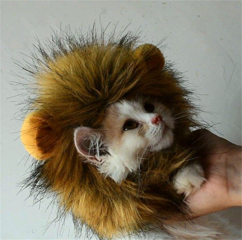 Bello Luna Löwenmähne für Katze und Kleiner Hund Katze Kostüm Fancy Lion Hair für Halloween Christmas-S von Bello Luna