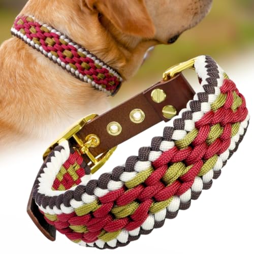 Ben&Bruno Hundehalsband | Breit & Verstellbar | 100% Handgefertigt | Robust, Sicher & Langlebig | Starkes Paracord Halsband | Halsbänder für Kleine, Mittelgroße & Große Hunde | Medium Ben&Bruno Hundehalsband | Breit & Verstellbar | 100% Handgefertigt | Robust, Sicher & Langlebig | Starkes Paracord Halsband | Halsbänder für Kleine, Mittelgroße & Große Hunde | Medium von Ben&Bruno