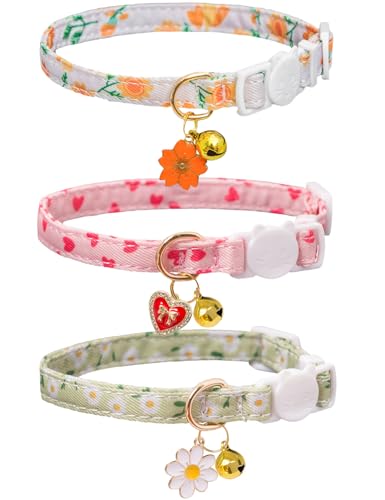 Katzenhalsband mit Glöckchen, 3 Stück, verstellbare Sicherheitshalsbänder, ideal für Mädchen, Jungen, Kätzchen, Orange / Grün / Rosa Katzenhalsband mit Glöckchen, 3 Stück, verstellbare Sicherheitshalsbänder, ideal für Mädchen, Jungen, Kätzchen, Orange / Grün / Rosa von Bencacawinstyle