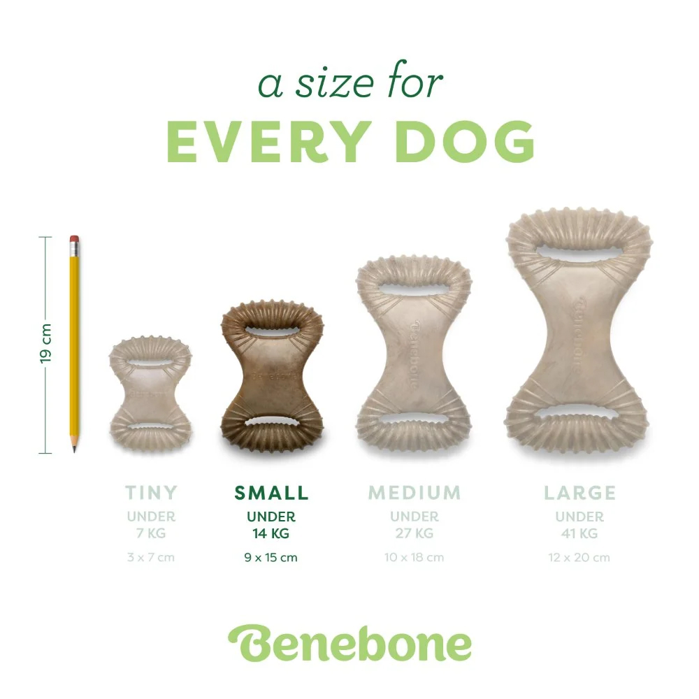Benebone Dental Chew - Bacon - Small Benebone Dental Chew - Bacon - Small von Benebone