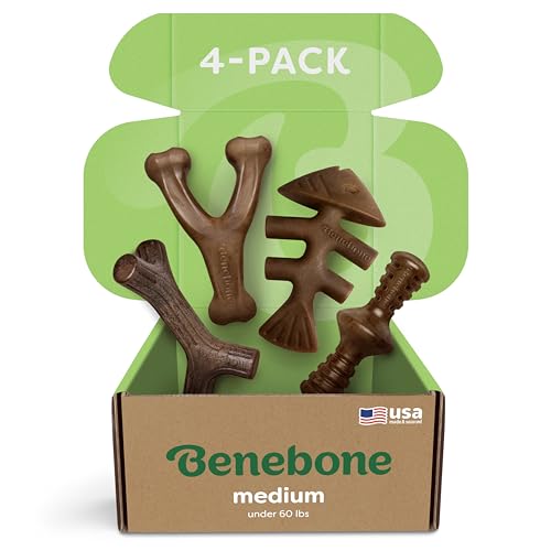 Benebone Durable Dog Chew Toy Box for Aggressive Chewers with Wishbone, Fishbone, Stick & Zaggler, Medium von Benebone