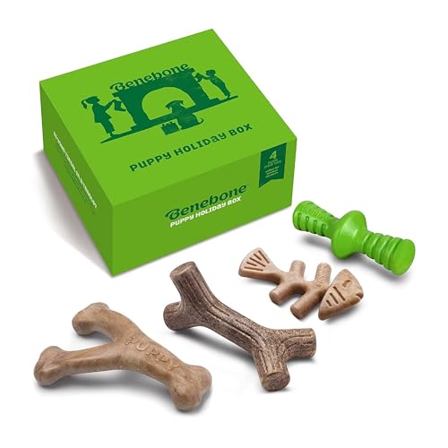 Benebone Puppy Unzerstörbare Hundekauspielzeug Geschenkbox für aggressive Kauer mit Querlenker, Fischgräten, Stock & Zaggler, lang anhaltende Langeweile Brecher, Aromen, für Welpen, von Benebone