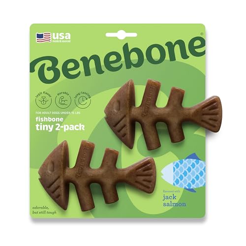 Benebone Durable Fishbone Dog Chew Toy for Aggressive Chewers, Jack Salmon, Tiny 2-Pack, Made in USA von Benebone