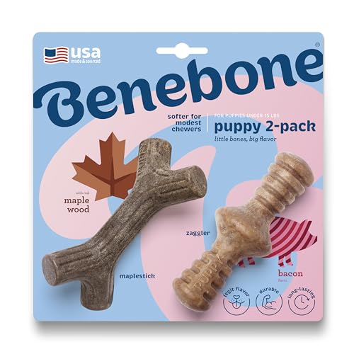 Benebone Puppy Tiny – Packung mit 2 unzerbrechlichen Ahornstäbchen für aggressives Kauen, langanhaltender Zahnungs-Langeweile-Brecher für Welpen, echter Speck- und Holzgeschmack Benebone Puppy Tiny – Packung mit 2 unzerbrechlichen Ahornstäbchen für aggressives Kauen, langanhaltender Zahnungs-Langeweile-Brecher für Welpen, echter Speck- und Holzgeschmack von Benebone
