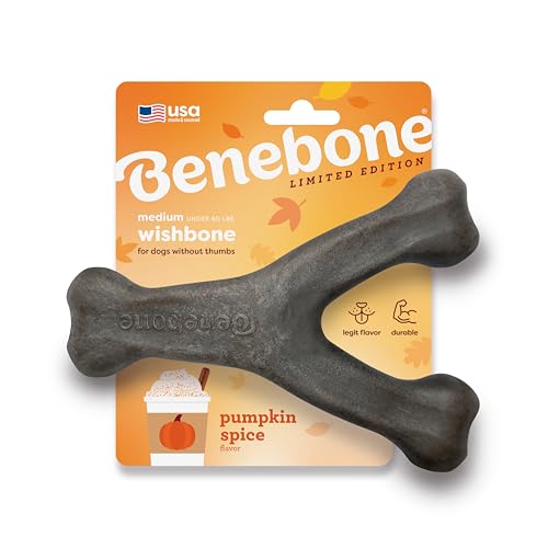Benebone Pumpkin Spice Wishbone - Limited Edition Flavor, langlebiges Hunde-Kauspielzeug für Aggressive Kauer, Größe M von Benebone