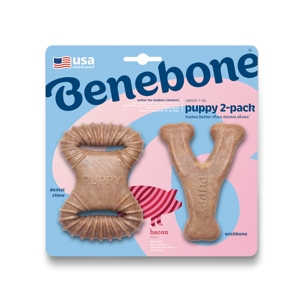 Benebone Puppy Set Wishbone & Dental Chew - Dental Chew & Wishbone Bacon Tiny Benebone Puppy Set Wishbone & Dental Chew - Dental Chew & Wishbone Bacon Tiny von Benebone