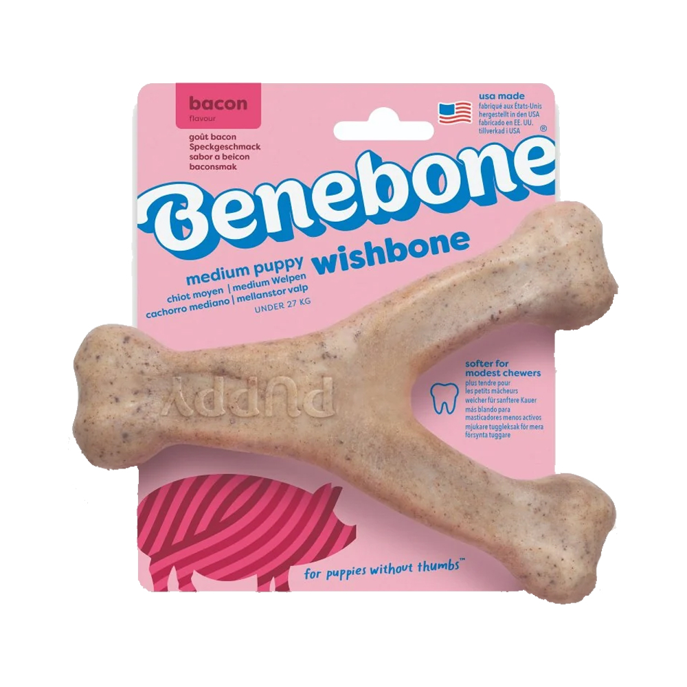 Benebone Puppy Wishbone - Bacon - Medium Benebone Puppy Wishbone - Bacon - Medium von Benebone
