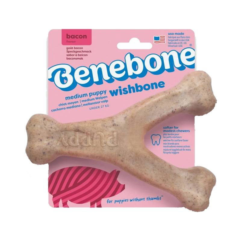 Benebone Puppy Wishbone - Bacon - Medium von Benebone