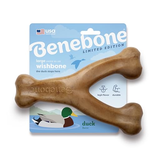 Benebone Wishbone Kauspielzeug für Hunde – Robust für Starke Kauer, Geschmack: Ente, Größe L Benebone Wishbone Kauspielzeug für Hunde – Robust für Starke Kauer, Geschmack: Ente, Größe L von Benebone