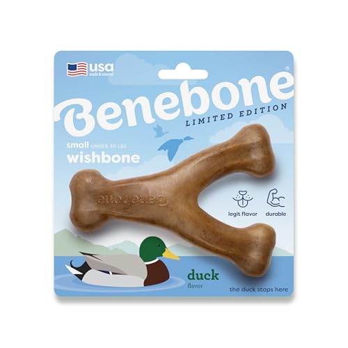 Benebone Wishbone Kauspielzeug für Hunde – Robust für Starke Kauer, Geschmack: Ente, Größe S Benebone Wishbone Kauspielzeug für Hunde – Robust für Starke Kauer, Geschmack: Ente, Größe S von Benebone