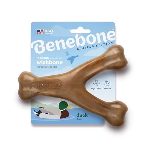 Benebone Wishbone Langlebiges Kauspielzeug für Hunde für Aggressive Kauer, Ente, Größe M Benebone Wishbone Langlebiges Kauspielzeug für Hunde für Aggressive Kauer, Ente, Größe M von Benebone