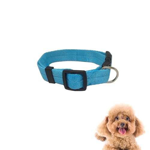 Benixmidart Nylon-Hundehalsband, verstellbares Halsband für Hunde mit Schnalle und Leine, Haustierhalsband für kleine, mittelgroße und große Hunde, Größe M Benixmidart Nylon-Hundehalsband, verstellbares Halsband für Hunde mit Schnalle und Leine, Haustierhalsband für kleine, mittelgroße und große Hunde, Größe M von Benixmidart