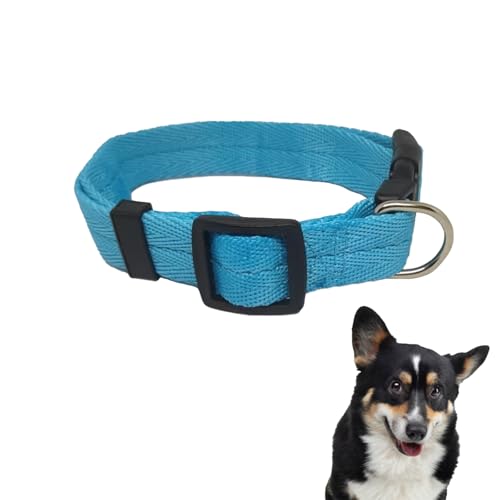 Benixmidart Nylon-Hundehalsband, verstellbares Halsband für Hunde mit Schnalle und Leine, Haustierhalsband für kleine, mittelgroße und große Hunde (L) von Benixmidart