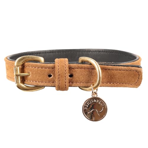 Benji & Flo Noble Hundehalsband aus Wildleder, Größe S, Hellbraun/Gold Benji & Flo Noble Hundehalsband aus Wildleder, Größe S, Hellbraun/Gold von Benji & Flo