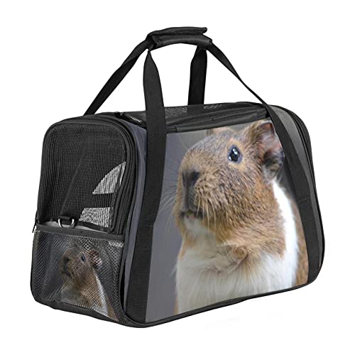 Bennigiry Haustier-Reisetasche für kleine und mittelgroße Hunde und Katzen, faltbar, mit Sicherheitsreißverschlüssen, für Fluggesellschaften zugelassen, niedliches Hamster-Tier von Bennigiry