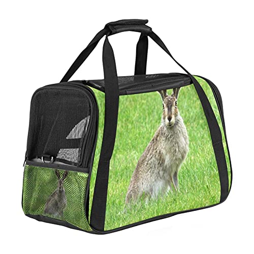 Haustier-Reisetasche für Welpen, Katzen, leicht zu tragen, weiche Seiten, Netz-Tragetasche, starke Atmungsaktivität, 43,2 x 25,4 x 20,4 cm, Wildhase, Hase, Naturgrasland von Bennigiry