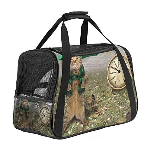 Haustier-Reisetasche für Welpen, Katzen, leicht zu tragen, weiche Seiten, Netz-Tragetasche, starke Atmungsaktivität, 43,2 x 25,4 x 20,4 cm, lustige Katze von Bennigiry