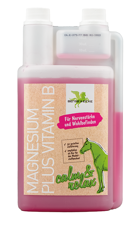 Bense & Eicke Magnesium plus Vitamin B 1L Für die Nerven Bense & Eicke Magnesium plus Vitamin B 1L Für die Nerven von Bense & Eicke