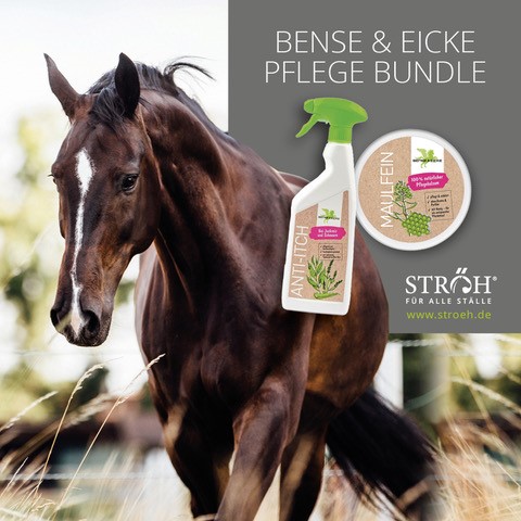 Bense & Eicke Pflegebundle Anti-Itch 500 ml & MaulFein 100 ml von Bense & Eicke