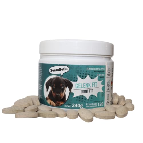 BentoBello Gelenktabletten/Gelenkfit für Hunde (120 Kapseln) Hunde Gelenkunterstützung Gelenkgesundheit Hund Kapseln Hochwertige Gelenkpflege Hund Natürliche Gelenkformel Hund von BentoBello