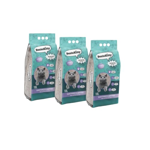 BentoKitty Katzenstreu (30L, 3er Pack) mit Lavendel Duft, Klumpend, weiß, feinkörnig, Klumpstreu aus Bentonite, für Sensitive Katzenpfoten geeignet von BentoKitty