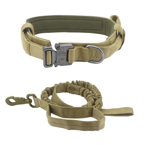 Beowanzk Bungee-Hundeleine, Größe M (36-48 cm), Beige von Beowanzk