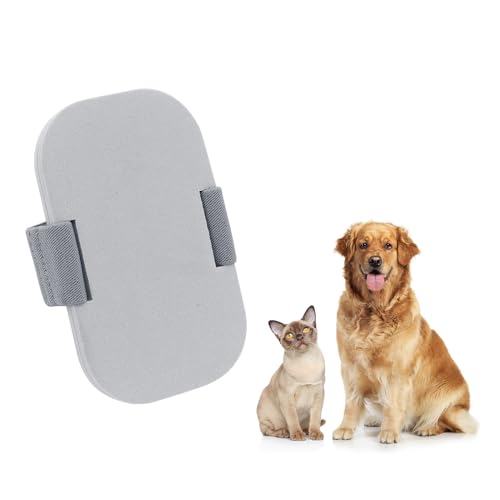 Beowanzk Hunde-Nagelknipser, Hundekrallenzange, Hunde-Nagelschleifer, Hundeknipser Nagel, Katzennagelknipser, Nagelknipser für Hunde, Katzenzange Beowanzk Hunde-Nagelknipser, Hundekrallenzange, Hunde-Nagelschleifer, Hundeknipser Nagel, Katzennagelknipser, Nagelknipser für Hunde, Katzenzange von Beowanzk