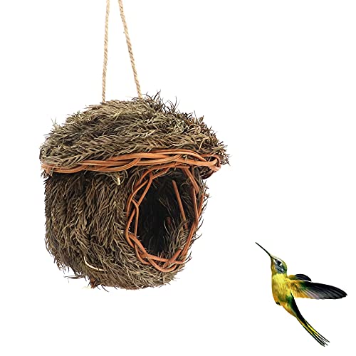 Beowanzk Kleines Vogelhaus zum Aufhängen, Vogelhäuschen Holz, Bird House, Vogelhaus Holz, Vogelhaus zum Aufhängen, Nistkästen für Vögel Wetterfest für Draußen Beowanzk Kleines Vogelhaus zum Aufhängen, Vogelhäuschen Holz, Bird House, Vogelhaus Holz, Vogelhaus zum Aufhängen, Nistkästen für Vögel Wetterfest für Draußen von Beowanzk