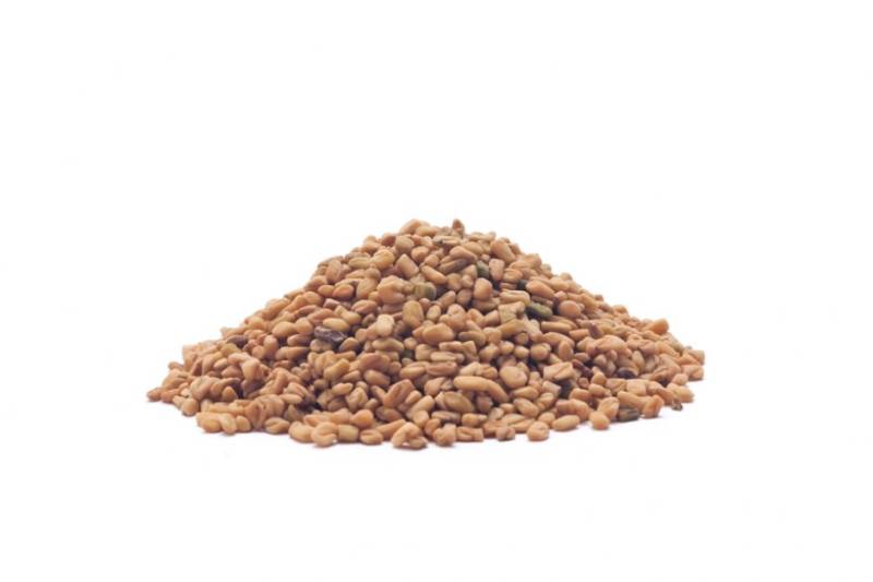 Bergsiegel Bockshornkleesamen 1 kg für Atemwege & Immunsystem von Bergsiegel
