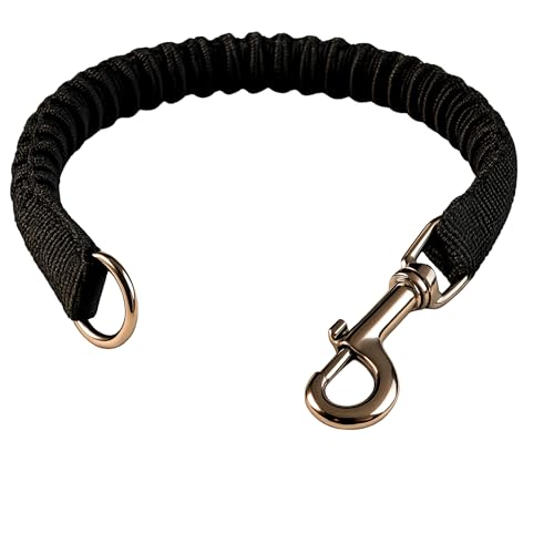 Beroni® Rückdämpfer Hund Bungee Leine Adapter für Hundeleine elastisch Zug Wird gedämpft am Hundegeschirr, Halsband Verlängerung Shock Absorber Training für kleine Hunde von Beroni