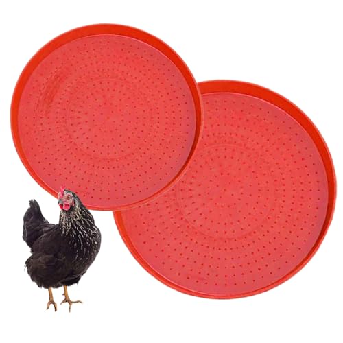 Berriphonia Chicken Feeder Tray | 2 Stück Teller für Geflügelfutter – tragbare Schüssel für Hinterhof, Garten, Außenbereich, Bauernhof, Scheune, Coop, Vogelenten, Hühner von Berriphonia