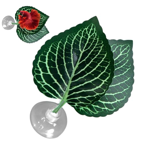 Berriphonia Fischfisch-Blattbett – Betta Bed Leaf Hängematte, Dekoration des Aquariums – Die Atmung der Hängematte verbessert die Gesundheit von Betta durch einfaches Simulieren Berriphonia Fischfisch-Blattbett – Betta Bed Leaf Hängematte, Dekoration des Aquariums – Die Atmung der Hängematte verbessert die Gesundheit von Betta durch einfaches Simulieren von Berriphonia