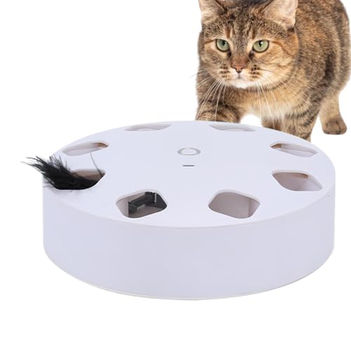 Berriphonia Katzenspielzeug Whack Game – wiederaufladbares Katzenspielzeug, Katzenspielzeug mit 7 Löchern, Katzenspielzeug, interaktives Spielzeug mit 7 Löchern, Spielzeug K Berriphonia Katzenspielzeug Whack Game – wiederaufladbares Katzenspielzeug, Katzenspielzeug mit 7 Löchern, Katzenspielzeug, interaktives Spielzeug mit 7 Löchern, Spielzeug K von Berriphonia