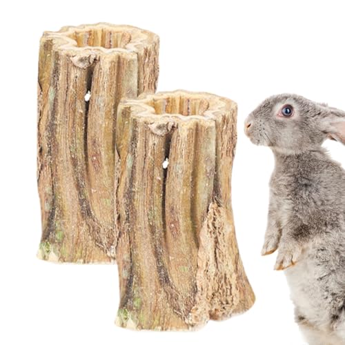 Berriphonia Papaya Natural Good Sticks – Bunny Chuzing, Bunny Chewing Snacks | Natural Papaya Chew Sticks Berriphonia Papaya Natural Good Sticks – Bunny Chuzing, Bunny Chewing Snacks | Natural Papaya Chew Sticks von Berriphonia