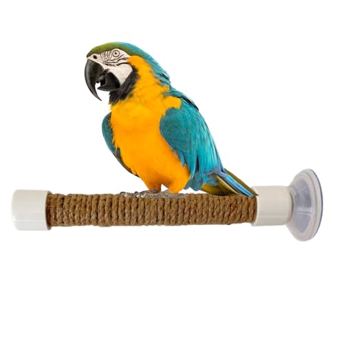 Fenster Barsch Für Vögel - Saugnapfbirdständer Für Dusche, Auto, Bad | Tragbares Sittichbarch -Käfig -Zubehör Für Aras, Kleine Vögel, Training Und Ruhestätte Für Innen- Und Reisenutzung von Berriphonia