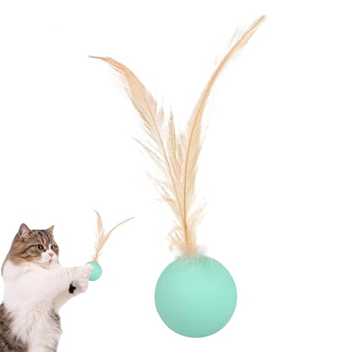 Katzenbälle - Interaktive Spielkugel, Innenjagdspielzeug | Sensorische Anreicherungs -Federball, Engagiertes Training, Unterhaltsame Jagdaktivitäten, Leichte Haustierunterhaltung, Langeweile Relief Fü von Berriphonia